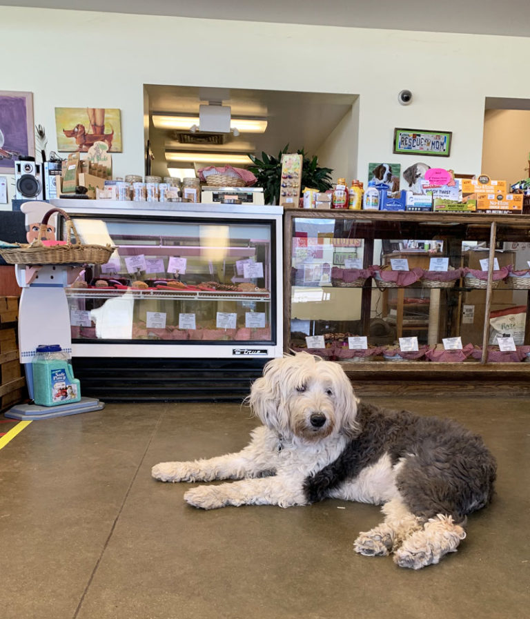 Treats-for-all-at-the-counter