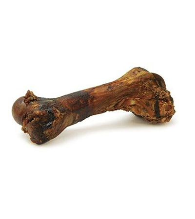 Femur bone