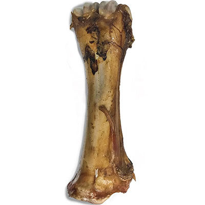 Shank bone